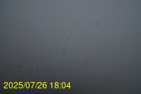 Img20250726_180431.jpg