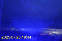 Img20250726_194431.jpg