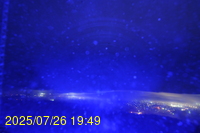 Img20250726_194931.jpg