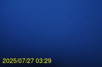 Img20250727_032933.jpg