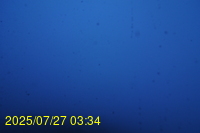 Img20250727_033433.jpg
