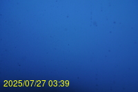 Img20250727_033933.jpg