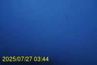 Img20250727_034433.jpg