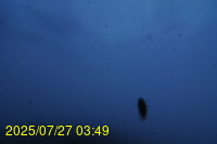 Img20250727_034933.jpg