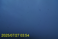 Img20250727_035433.jpg
