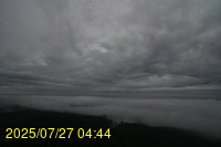 Img20250727_044433.jpg