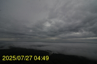 Img20250727_044933.jpg