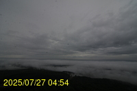 Img20250727_045433.jpg