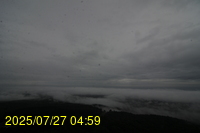 Img20250727_045933.jpg