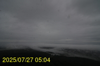 Img20250727_050433.jpg