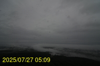 Img20250727_050933.jpg