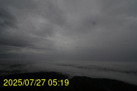 Img20250727_051933.jpg