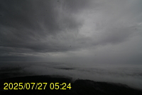 Img20250727_052433.jpg