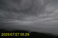 Img20250727_052933.jpg