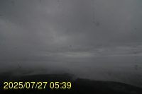 Img20250727_053933.jpg