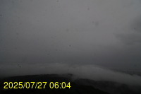 Img20250727_060433.jpg