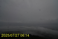 Img20250727_061433.jpg