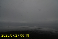 Img20250727_061933.jpg