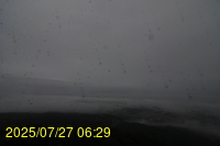 Img20250727_062933.jpg