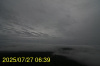 Img20250727_063933.jpg