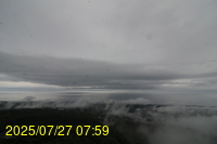 Img20250727_075934.jpg