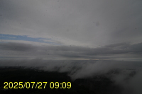 Img20250727_090934.jpg