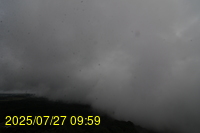 Img20250727_095934.jpg
