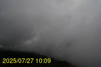 Img20250727_100934.jpg