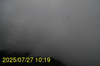 Img20250727_101934.jpg
