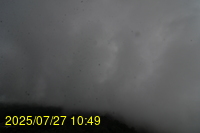 Img20250727_104934.jpg