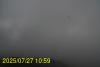 Img20250727_105934.jpg