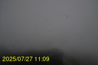Img20250727_110934.jpg