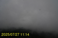 Img20250727_111434.jpg