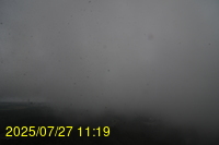 Img20250727_111934.jpg