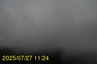 Img20250727_112434.jpg