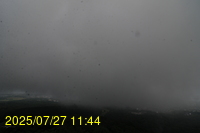 Img20250727_114434.jpg