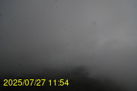 Img20250727_115434.jpg