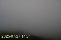 Img20250727_143435.jpg