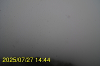 Img20250727_144435.jpg