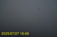 Img20250727_164935.jpg