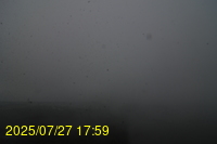 Img20250727_175935.jpg