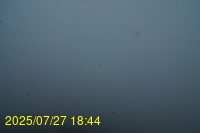 Img20250727_184435.jpg