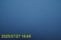 Img20250727_184935.jpg