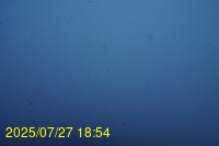 Img20250727_185435.jpg