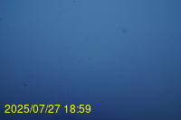 Img20250727_185936.jpg