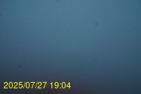 Img20250727_190435.jpg