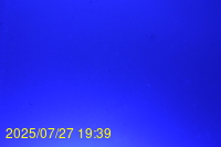 Img20250727_193936.jpg