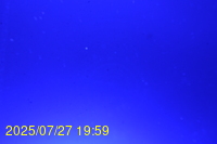 Img20250727_195936.jpg