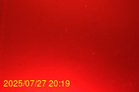 Img20250727_201936.jpg
