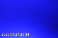 Img20250727_203436.jpg